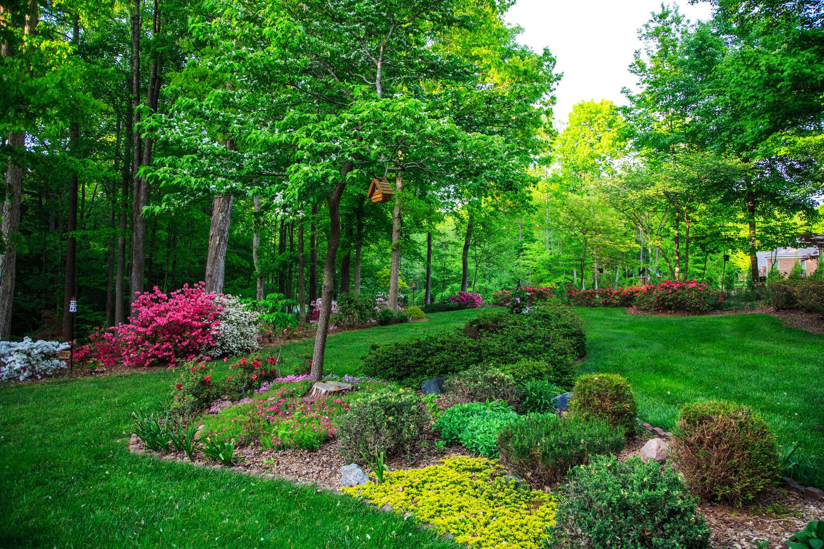 Pete & Ron's Tree Service, Inc. logo