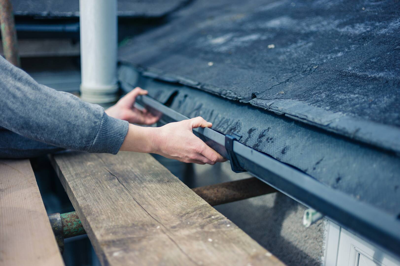 Alpha Roofing Services logo